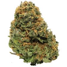 Cheese Marijuana Strain Victoria