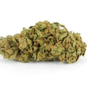 Hog Marijuana Strain Somerville