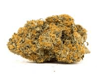 Tutankhamon Marijuana Strain Beerwah