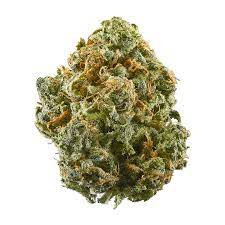 Blue Dream Marijuana Strain Moruya