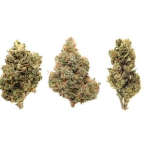 Buy Marijuana Strains Australia