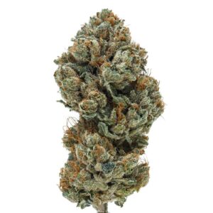 Chronotronic Marijuana Strain Kingston