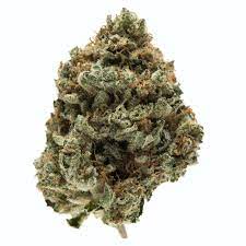 Kosher Kush Marijuana Strain Morwell