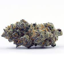 Apple Fritter Marijuana Strain Caloundra