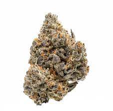 White Buffalo Marijuana Strain Waterford