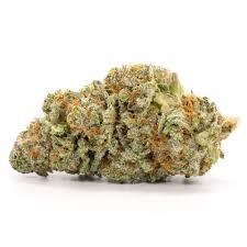 Northern Lights Marijuana Strain Penrith