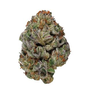 Hybrid Cannabis Strains Australia