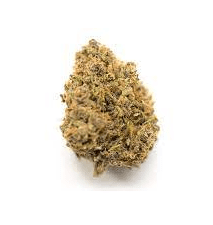 Cherry Gorilla Marijuana Strain Ipswich