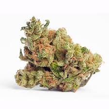 Sativa Marijuana Strains Australia