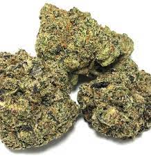 Exotic OG Marijuana Strain