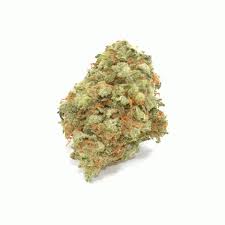 God Bud Marijuana Strain Grafton