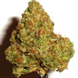 420 Kush Marijuana Strain NZ