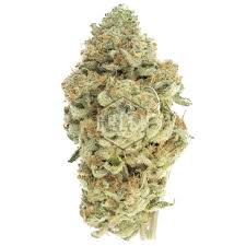 Space Queen Marijuana Strain Australind