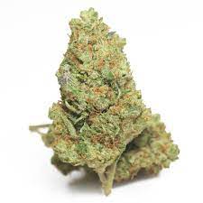 West Coast Diesel Marijuana Strain NZ