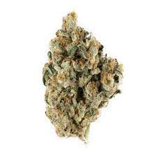 Very Berry Marijuana Strain Gulgong