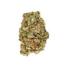 Buy Venom OG Marijuana Strain