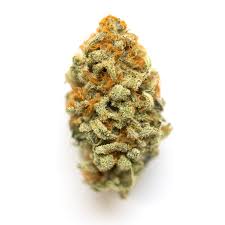 Panama Red Marijuana Strain York