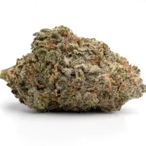 cannabis doctors australia