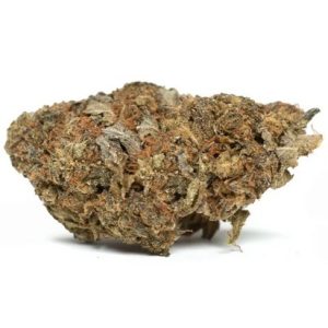 medical cannabis clinic