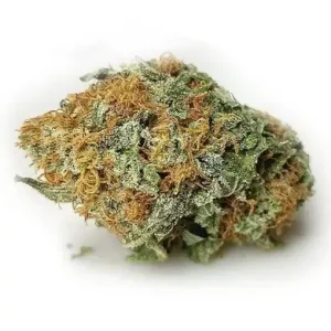buy medical marijuanas australia