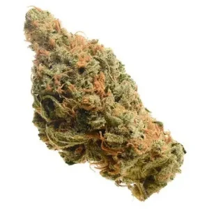 medical marijuanas companies australia